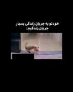 جریان زندگی؟؟😂. . .