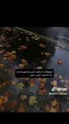 آرامش باران: دلنوشته ای زیبا درباره سکوت و صحبت