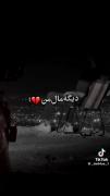 تو مغزم یه گلوله حرومت کردم...