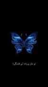 تو مثل پروانه آبی قشنگی …💙🦋🤍