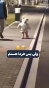 خب اذیتش نکنین ، گناه داره بچه