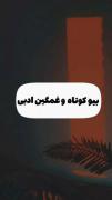 بیو کوتاه و غمگین و ناراحت کننده