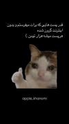 اااااااااااااااااااااااااااااا 