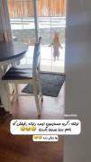 اااااااااااااااااااااااااااااا 
