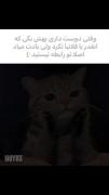 بله این درد ما سینگل ها است 😂😂