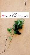 جوری که تو وارد زندگیم شدی ❤✨