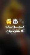 حیوانات اگه شاغل بودن......... 