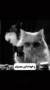 😂بفرست برا رفیقت ‌‌ ‌ ‌ ‌‌ ‌ ‌ ‌ ‌