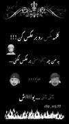 چالش خنده‌دار برعکس کردن کلمه مگس