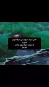  ‌ ‌ ‌ ‌ هعی ‌ ‌