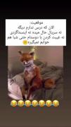 متاسفانههه حقیقت دارهععع😮‍💨🙄
