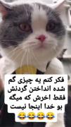 😂😂😂😂😂🤐😂اینجا نی 😂😂😂😂😂😂😂😂😂
