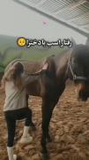 طنز سرگرمی عاشقانه غمگین خنده دار