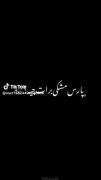 بقیه: آخه پارس مشکی برات چیه اینقدر دوستش داری؟!
