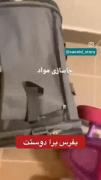 گربه بامزه جاساز شده در کوله‌پشتی: فقط دلار!