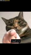 بدرد نخوری ـــــــــــــ😂🤌🏻