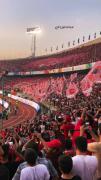 زیباترین عشق جهان= پرسپولیس ایران🙂‍↔️
