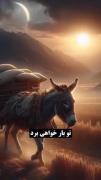 حق…..……..….…..))))))))))))))))