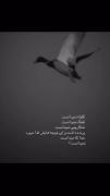 - خدا هم نمی دانست؟ نمی‌شِنید؟ ..