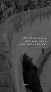 فیلم غمگین 🖤🥀 .
