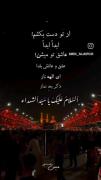 فیلم از حرم آقا امام حسین. . .