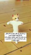 استوری خیالبافی طنز خنده دار . .