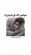 متولدین اگه گوربا بودن 😂😂😂😂😂