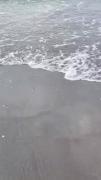 جات خالی نیستی پیشم‌‌‌‌‌‌‌‌‌‌‌‌‌