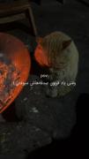 چرا باید یاد قربون صدقه هات باشم؟ :)) 