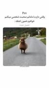نمیفهمم فازشو واقعا😂😂 .