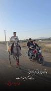 تیاگو باقری :مالک ،سوارکار محمد باقری 💓