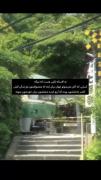 افسانه‌های ژاپنی: روایت‌هایی برای زیباتر کردن زندگی
