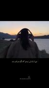 من از اونایی نیستم که بگم دورامو زدم 