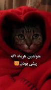 بچه ها بگید ببینم که کیا مهرن و کیا مردادن ؟؟