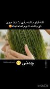 من خودم شیشه ای رو انتخاب میکنم شما چطور کامت کن..