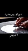 کدوم گل رنگی رو انتخاب می‌کنی؟ | ویدیوی هنری و آرامش‌بخش