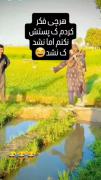 لحظات کمدی و خنده‌دار یک مرد روستایی در مزرعه کشاورزی