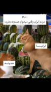  هندونه خریدن بابام😂😂...............