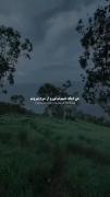 مناظر زیبای بارانی و آهنگ عاشقانه آرامش‌بخش