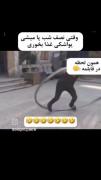 وقتی نصف شب برای غذا خوردن بیدار میشی: یک اجرای طنزآمیز آکروباتیک