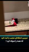 وقتی یک عروسک شیطون حسابی غافلگیرتان می‌کند! طنز پنهان دوربین مداربسته