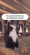 اینم از زندگی ما😐🤣🤣🤣🤣🤣🤣🗿 ، 