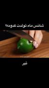 استوری سرگرمی انتخابی ماه های تولد.