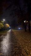 شب‌های دلتنگی پاییز: مسیری زیر نور چراغ‌ها و موسیقی آرامش‌بخش