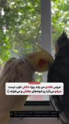 الهیی!🍃🙂❤️‍🩹...............