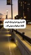 ویدئوی عاشقانه و احساسی در دل شب شهر