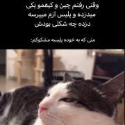 وقتی تو چین کیفمو ازم می دزدن ....