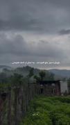 -دوباره سبز خواهیم شد...[💚] !