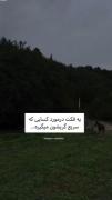 واقعیتی زیبا درباره احساسات: کسانی که زیاد می‌خندند