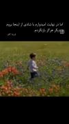 ....قلبِ تنهای کوچَک من.... :)
